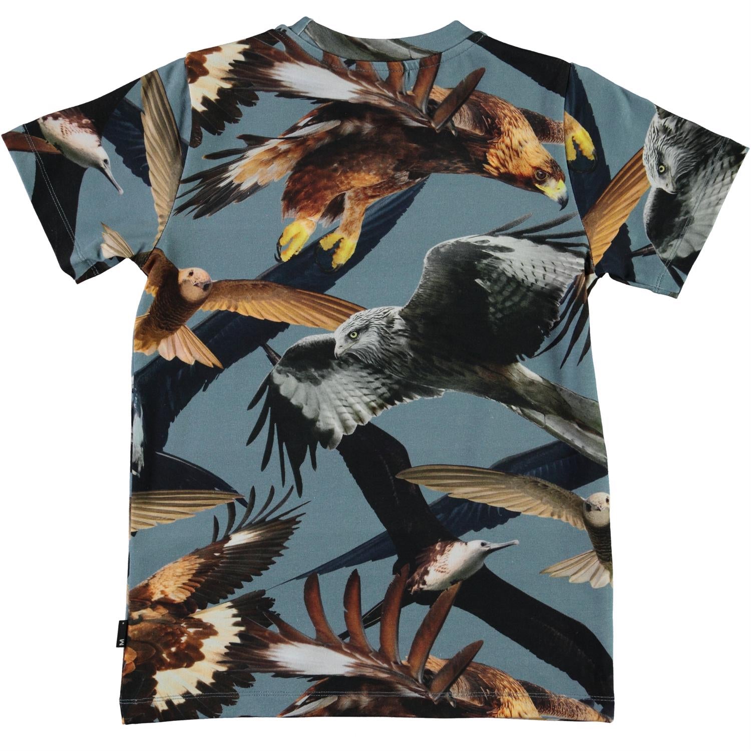 a-place-for-all-your-needs-to-shop-molo-ralphie-birds-top-shortsleeve-on-sale_1.jpg