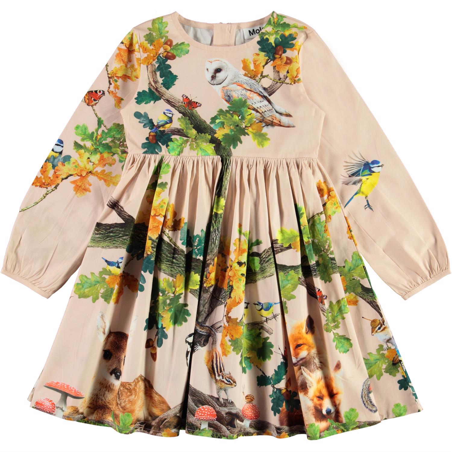 the-ultimate-online-sports-store-for-molo-christina-from-acorn-dress-longsleeve-supply_0.jpg